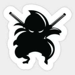 NinjaGram Crack 8.4.4 With Latest Serial Key Free Download 2022