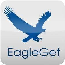 EagleGet Crack 2.1.6.80 With 100% Working Serial Key [Latest]